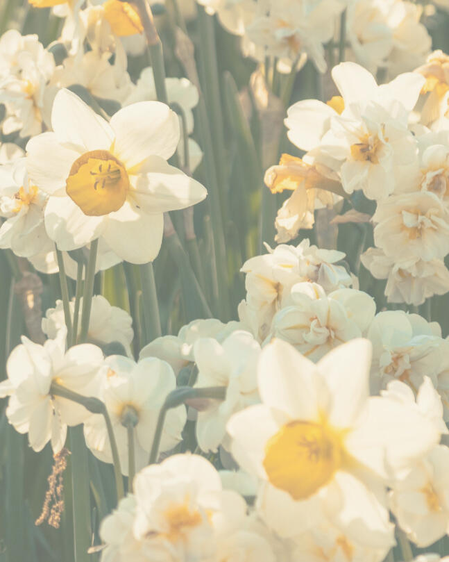 21/03/2026 16h30 - 19h30